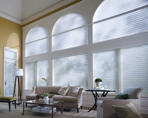 Window Treatments